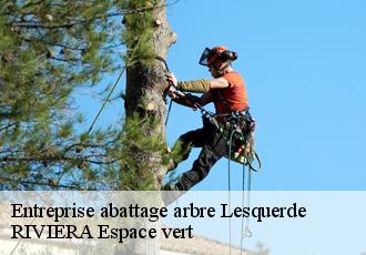 Entreprise abattage arbre  lesquerde-66220 RIVIERA Espace vert