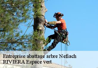 Entreprise abattage arbre  nefiach-66170 RIVIERA Espace vert