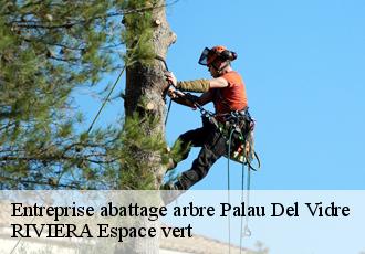 Entreprise abattage arbre  palau-del-vidre-66690 RIVIERA Espace vert
