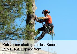 Entreprise abattage arbre  sansa-66360 RIVIERA Espace vert