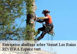 Entreprise abattage arbre  vernet-les-bains-66820 RIVIERA Espace vert