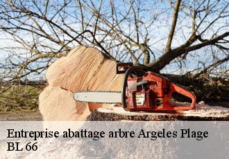 Entreprise abattage arbre  argeles-plage-66700 BL 66 