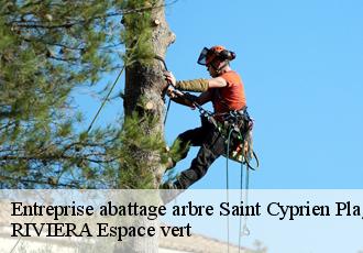 Entreprise abattage arbre  saint-cyprien-plage-66750 RIVIERA Espace vert