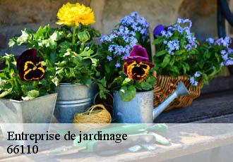 Entreprise de jardinage  66110