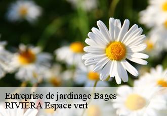 Entreprise de jardinage  bages-66670 RIVIERA Espace vert