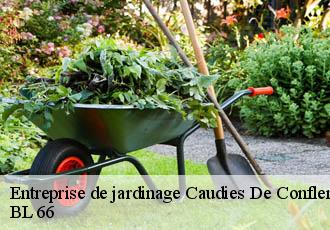 Entreprise de jardinage  caudies-de-conflent-66360 BL 66 