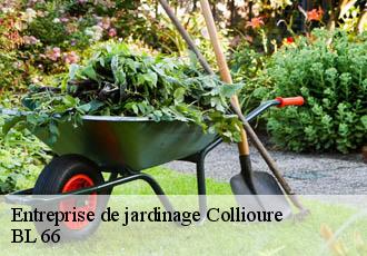 Entreprise de jardinage  collioure-66190 BL 66 