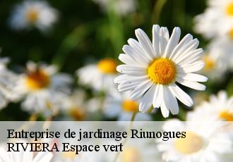 Entreprise de jardinage  riunogues-66480 RIVIERA Espace vert