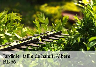 Jardinier taille de haie  l-albere-66480 BL 66 