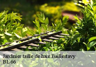 Jardinier taille de haie  baillestavy-66320 BL 66 