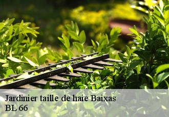 Jardinier taille de haie  baixas-66390 BL 66 