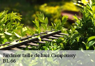 Jardinier taille de haie  campoussy-66730 BL 66 