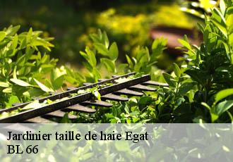 Jardinier taille de haie  egat-66120 BL 66 