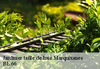 Jardinier taille de haie  marquixanes-66320 BL 66 