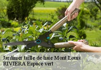 Jardinier taille de haie  mont-louis-66210 RIVIERA Espace vert