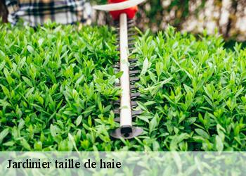 Jardinier taille de haie