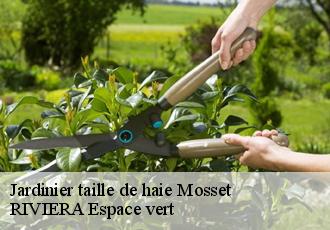 Jardinier taille de haie  mosset-66500 RIVIERA Espace vert