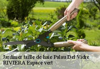 Jardinier taille de haie  palau-del-vidre-66690 RIVIERA Espace vert