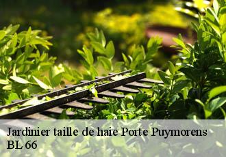 Jardinier taille de haie  porte-puymorens-66760 BL 66 