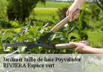 Jardinier taille de haie  puyvalador-66210 RIVIERA Espace vert