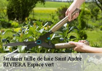 Jardinier taille de haie  saint-andre-66690 RIVIERA Espace vert