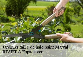 Jardinier taille de haie  saint-marsal-66110 RIVIERA Espace vert