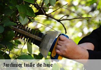 Jardinier taille de haie