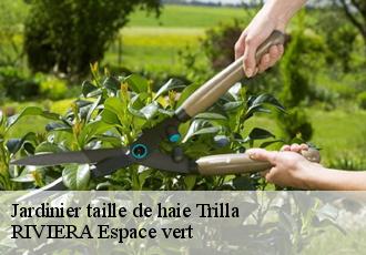 Jardinier taille de haie  trilla-66220 RIVIERA Espace vert