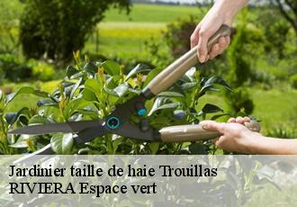 Jardinier taille de haie  trouillas-66300 RIVIERA Espace vert