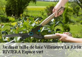 Jardinier taille de haie  villeneuve-la-riviere-66610 RIVIERA Espace vert