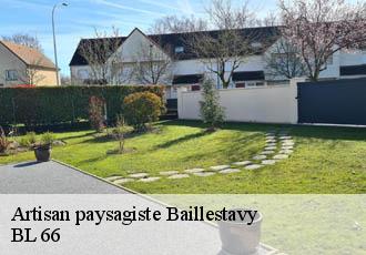 Artisan paysagiste  baillestavy-66320 BL 66 