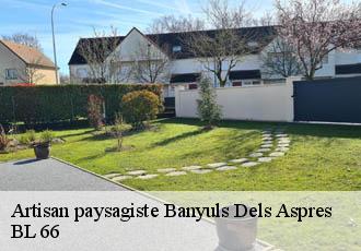 Artisan paysagiste  banyuls-dels-aspres-66300 BL 66 