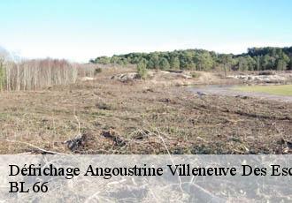 Défrichage  angoustrine-villeneuve-des-escaldes-66760 BL 66 