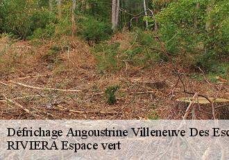 Défrichage  angoustrine-villeneuve-des-escaldes-66760 RIVIERA Espace vert