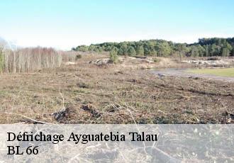 Défrichage  ayguatebia-talau-66360 BL 66 