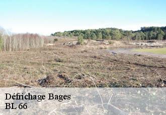 Défrichage  bages-66670 BL 66 