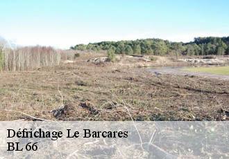 Défrichage  le-barcares-66420 BL 66 