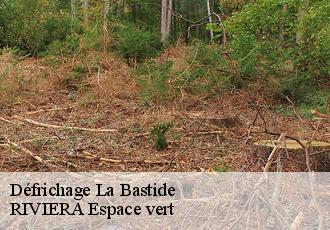 Défrichage  la-bastide-66110 RIVIERA Espace vert