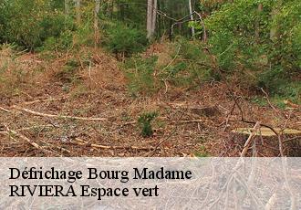 Défrichage  bourg-madame-66760 RIVIERA Espace vert