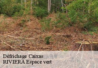 Défrichage  caixas-66300 RIVIERA Espace vert