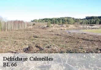 Défrichage  calmeilles-66400 BL 66 