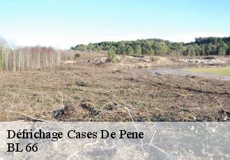 Défrichage  cases-de-pene-66600 BL 66 