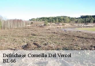 Défrichage  corneilla-del-vercol-66200 BL 66 