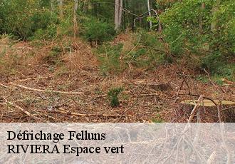 Défrichage  felluns-66730 RIVIERA Espace vert