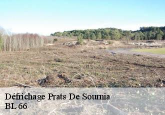 Défrichage  prats-de-sournia-66730 BL 66 