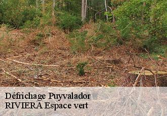 Défrichage  puyvalador-66210 RIVIERA Espace vert