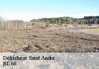 Défrichage  saint-andre-66690 BL 66 