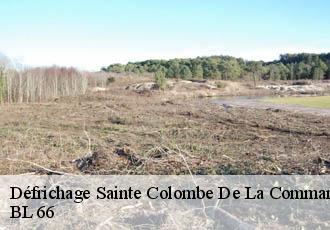 Défrichage  sainte-colombe-de-la-commanderie-66300 BL 66 