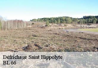 Défrichage  saint-hippolyte-66510 BL 66 