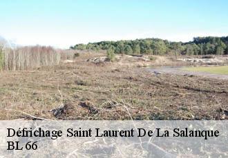 Défrichage  saint-laurent-de-la-salanque-66250 BL 66 